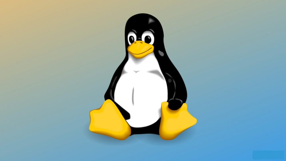 5 лучших дистрибутивов Linux для ноутбуков