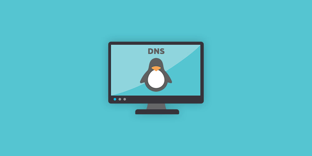 Как настроить локальный DNS-сервер на Linux?