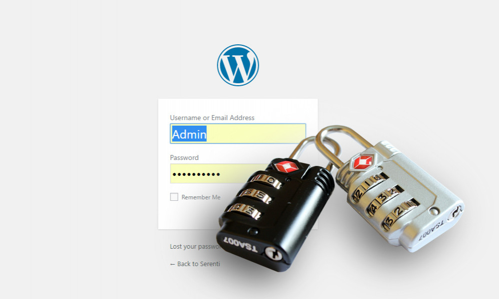 Wordpress login security