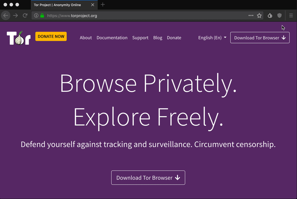 tor browser на весь экран